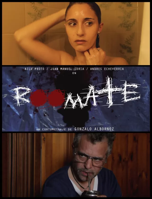 Póster de Roomate
