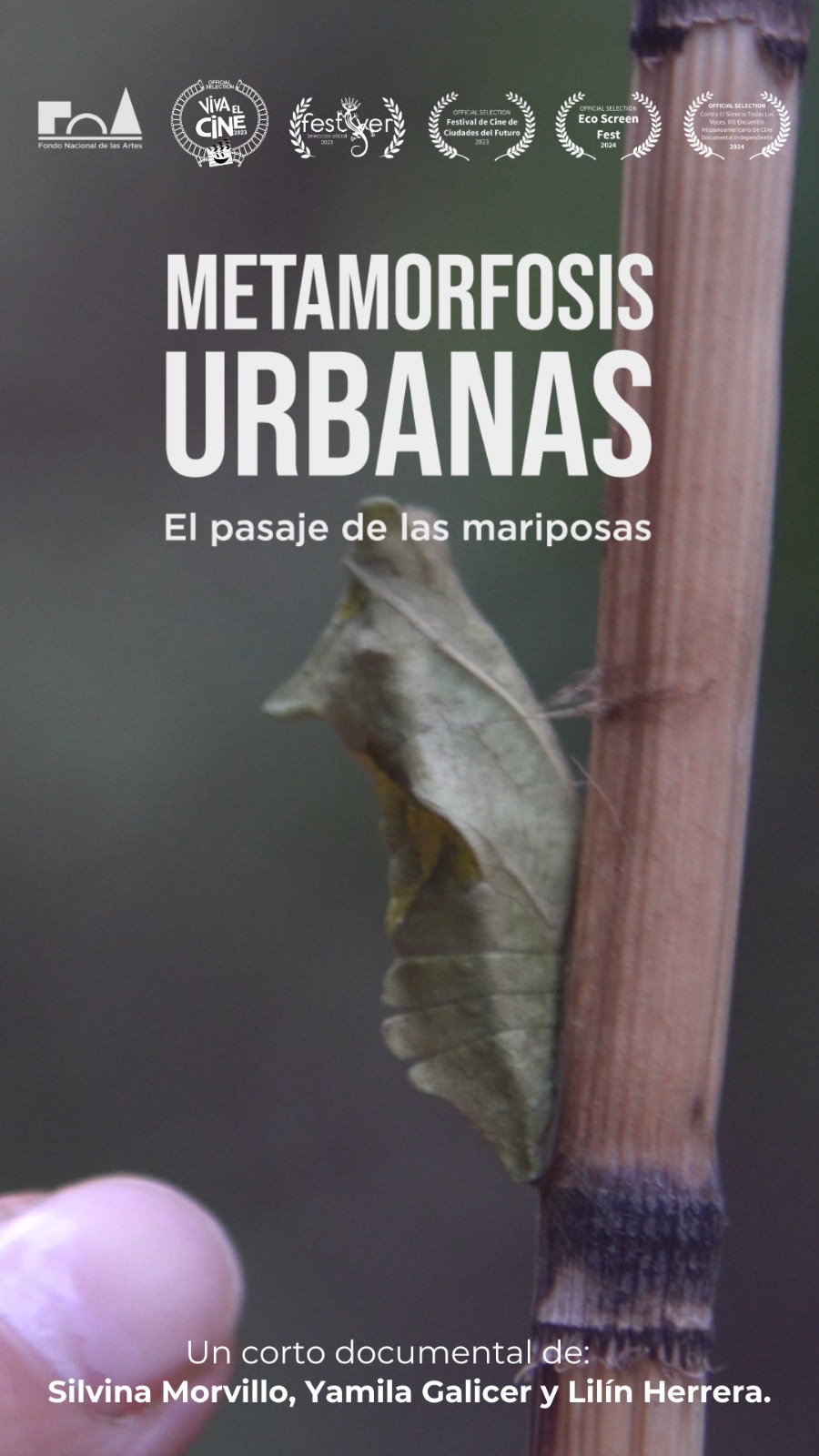 Póster de Metamorfosis Urbanas: El pasaje de las mariposas
