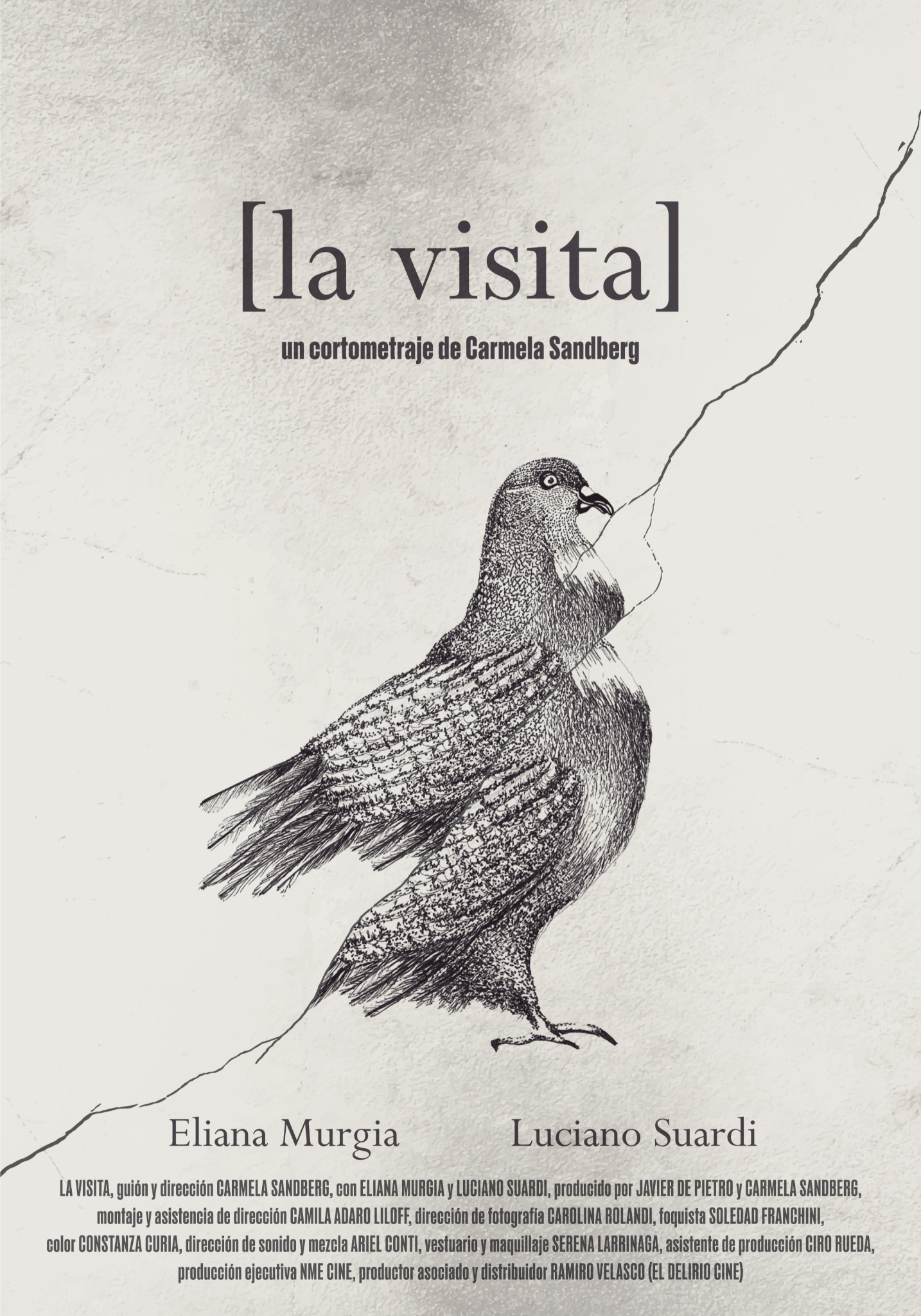 Póster de La visita